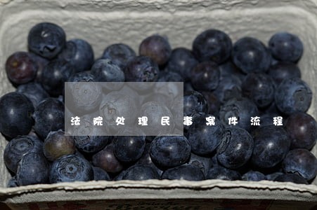 法院处理民事案件流程 法院处理民事案件流程