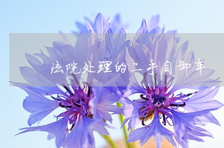 法院处理的二手自卸车