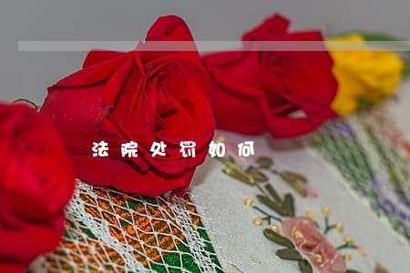 法院处罚如何 法院处罚如何