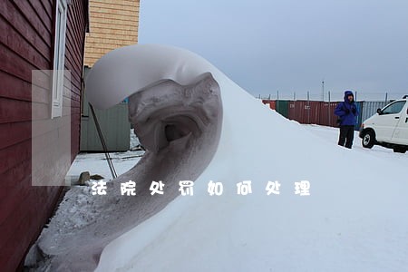 法院处罚如何处理 法院处罚如何处理
