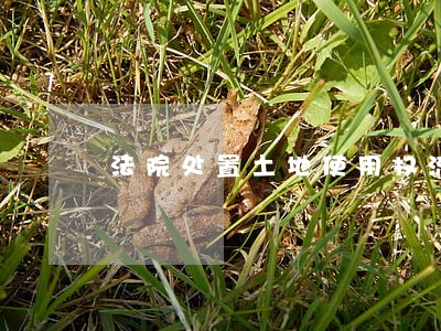 法院处置土地使用权流程 法院处置土地使用权流程