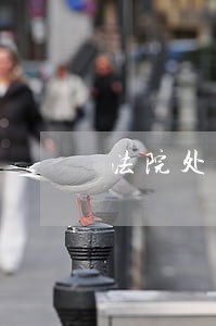 法院处置案号 法院处置案号