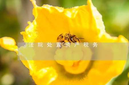 法院处置资产税务 法院处置资产税务