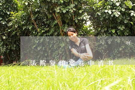 法院复印案卷申请书 法院复印案卷申请书