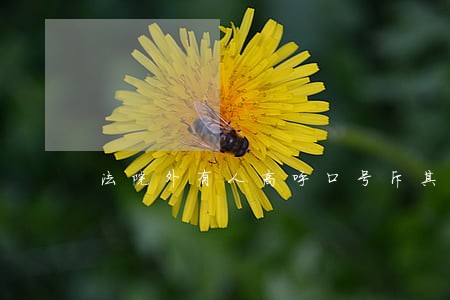 法院外有人高呼口号斥其祸港