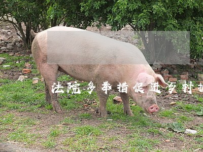 法院多举措促进乡村振兴 法院多举措促进乡村振兴