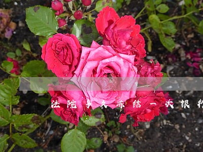 法院多久冻结一次银行卡 法院多久冻结一次银行卡