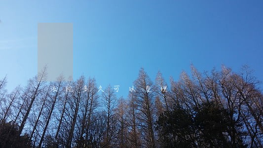 法院多久可以受理 法院多久可以受理