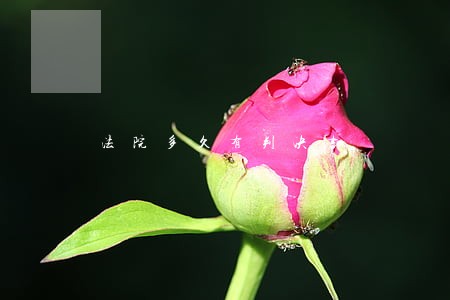 法院多久有判决书 法院多久有判决书
