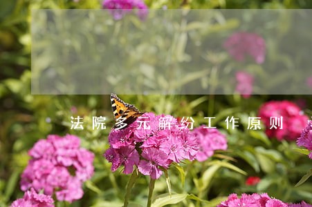 法院多元解纷工作原则