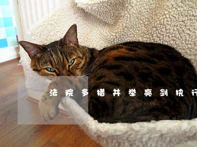 法院多措并举亮剑执行难 法院多措并举亮剑执行难