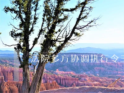 法院多方协调执行令三方皆满意 法院多方协调执行令三方皆满意