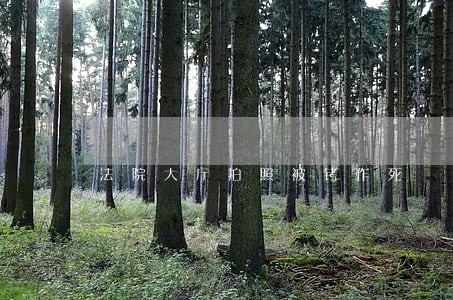 法院大厅拍照被铐作死 法院大厅拍照被铐作死