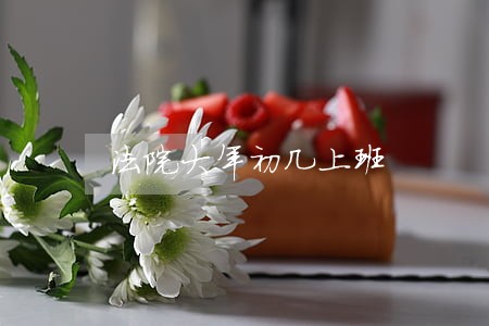 法院大年初几上班