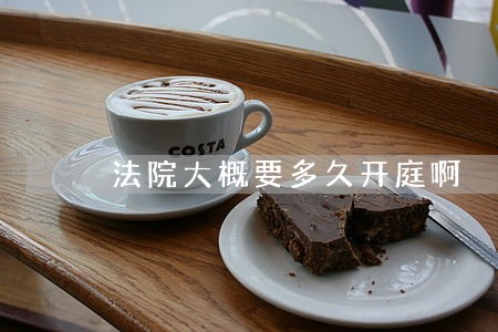 法院大概要多久开庭啊 法院大概要多久开庭啊
