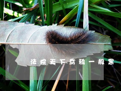 法院天下乌鸦一般黑 法院天下乌鸦一般黑