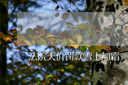 法院天价罚款雪上加霜 法院天价罚款雪上加霜