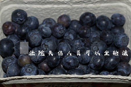 法院失信人员可以坐轮渡去海口吗 法院失信人员可以坐轮渡去海口吗