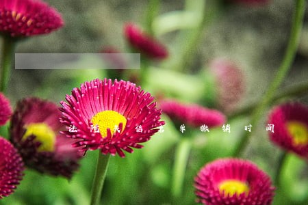法院失信名单撤销时间