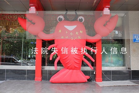 法院失信被执行人信息 法院失信被执行人信息