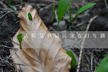 法院女书记员深夜打车遇害 法院女书记员深夜打车遇害