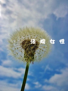 法院女性多