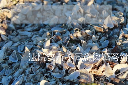 法院女方不同意离婚答辩范文 法院女方不同意离婚答辩范文