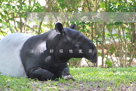 法院好似他家开的