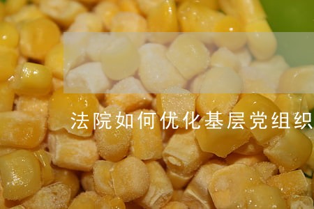 法院如何优化基层党组织设置