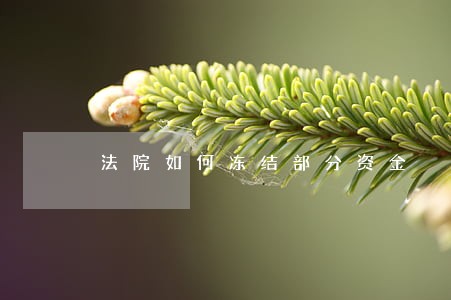 法院如何冻结部分资金 法院如何冻结部分资金