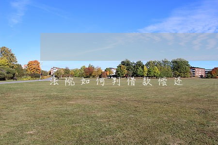 法院如何判借款偿还