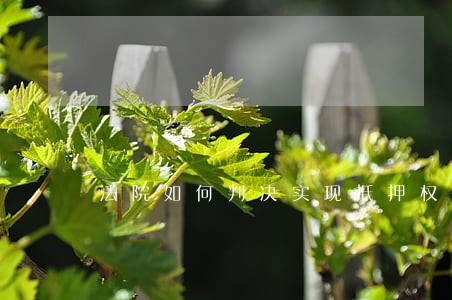 法院如何判决实现抵押权 法院如何判决实现抵押权
