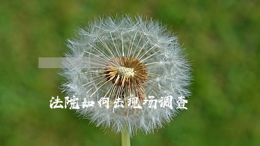法院如何去现场调查 法院如何去现场调查