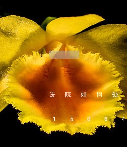法院如何处理行政案件起诉/2023031506493 法院如何处理行政案件起诉/2023031506493