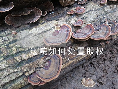 法院如何处置股权