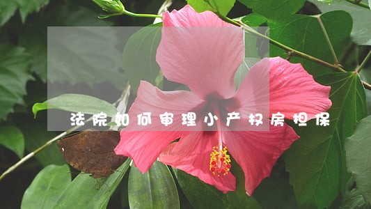 法院如何审理小产权房担保