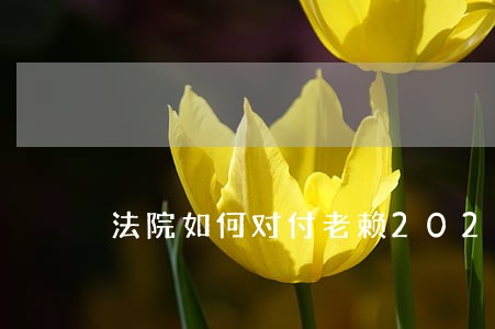 法院如何对付老赖202