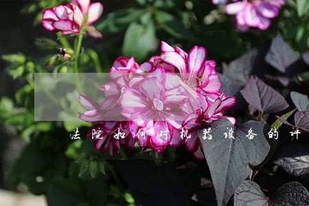 法院如何对机器设备的评估报告 法院如何对机器设备的评估报告