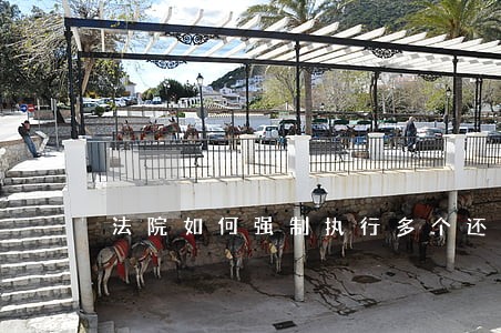 法院如何强制执行多个还款担保人 法院如何强制执行多个还款担保人