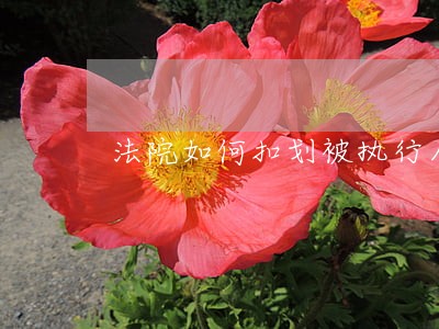 法院如何扣划被执行人工资 法院如何扣划被执行人工资