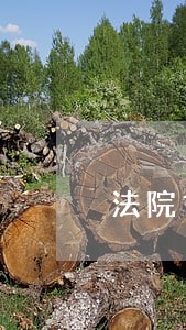 法院如何收车 法院如何收车