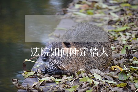 法院如何断定情人 法院如何断定情人