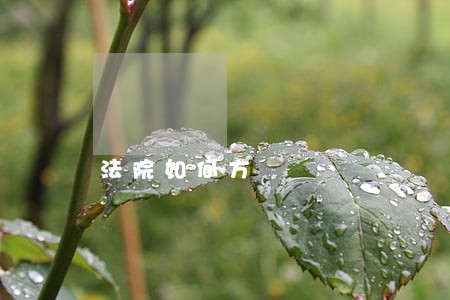 法院如何方 法院如何方
