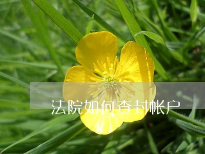 法院如何查封帐户 法院如何查封帐户