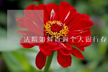 法院如何查询个人银行存款