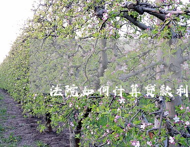 法院如何计算贷款利率 法院如何计算贷款利率