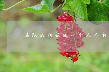 法院如何认定一个人不能办 法院如何认定一个人不能办