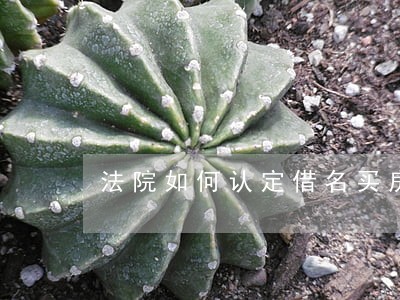 法院如何认定借名买房事实 法院如何认定借名买房事实