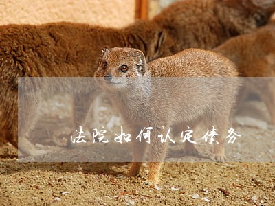 法院如何认定债务 法院如何认定债务