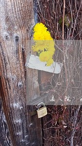 法院如何认定公司下落不明 法院如何认定公司下落不明